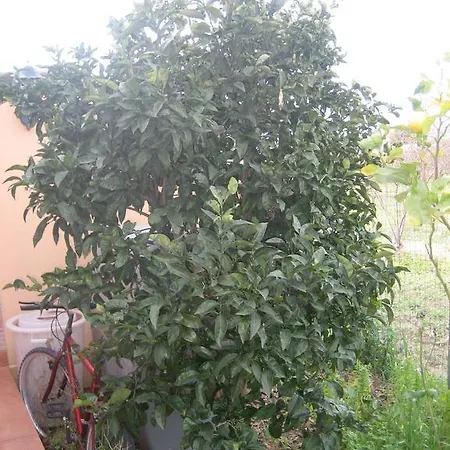 Villa La Casa Blu Zingarello
