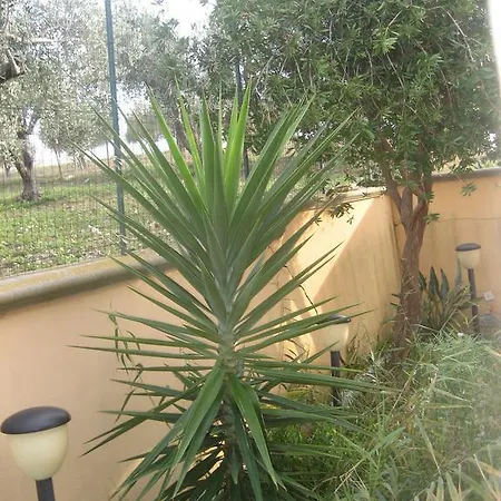 La Casa Blu * Zingarello